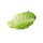 75g Pack Baby Cos Leaf